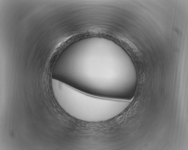 X0000116490776200912090947