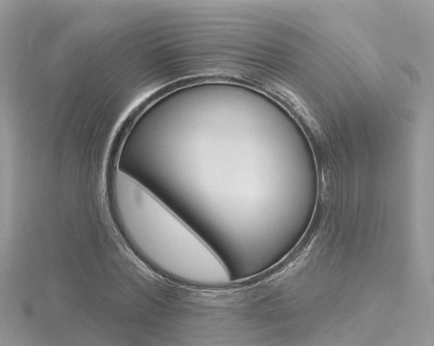 X0000116490780200912090947