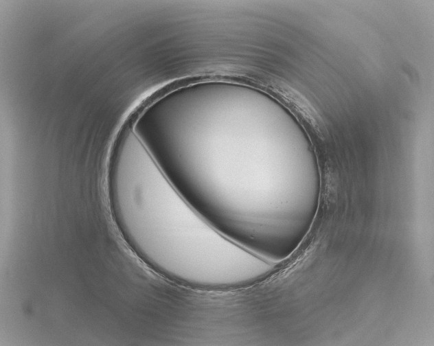 X0000116490784200912090947