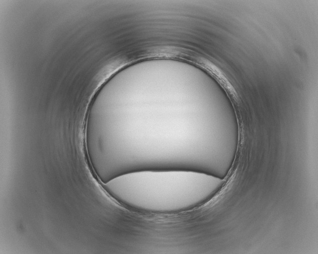 X0000116490802200912090946