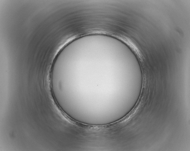 X0000116490806200912090946