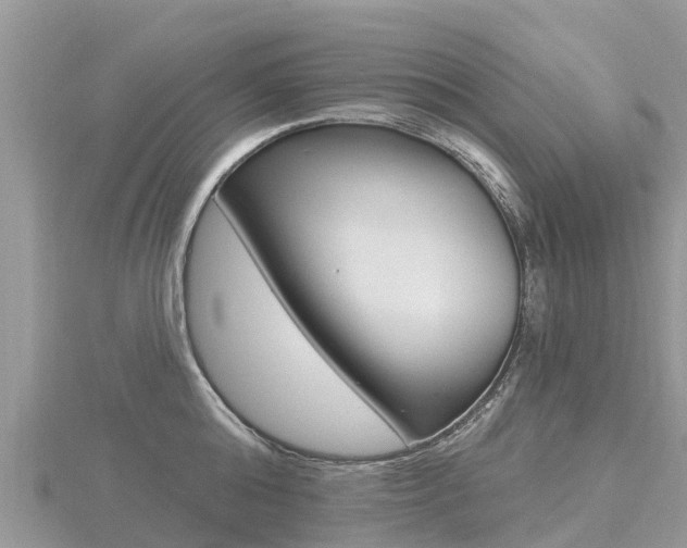 X0000116490808200912090946
