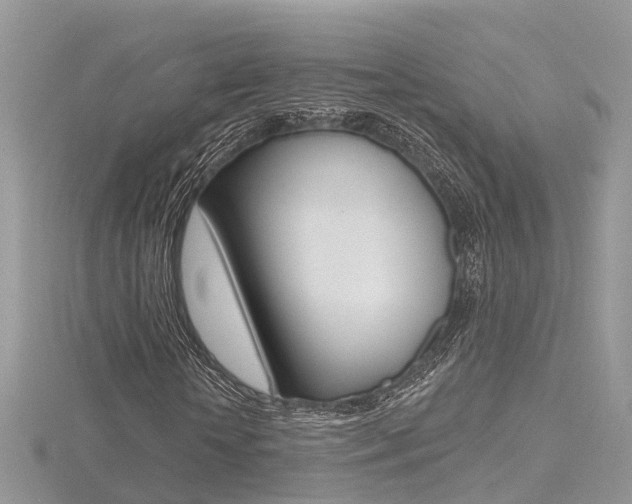 X0000116490818200912090946