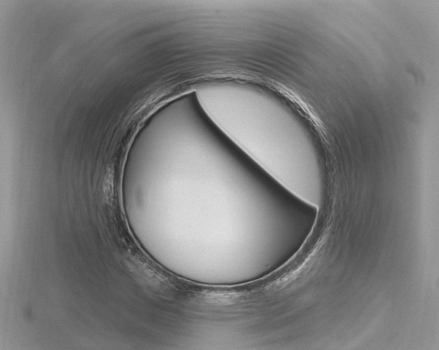 X0000116490825200912090946