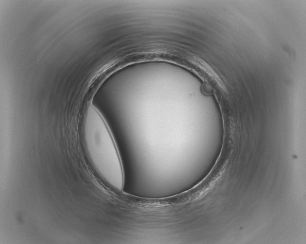 X0000116490826200912090946
