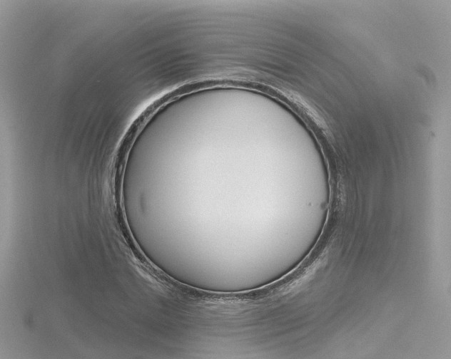 X0000116490830200912090946