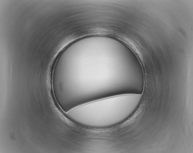 X0000116490843200912090946