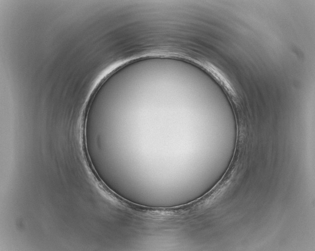 X0000116490854200912090946