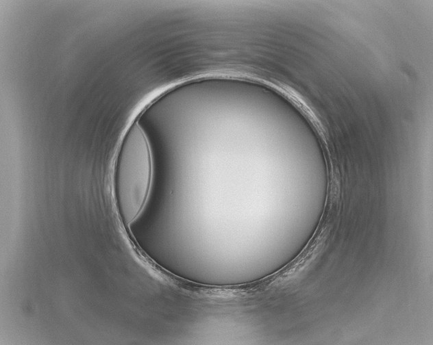 X0000116490862200912090946