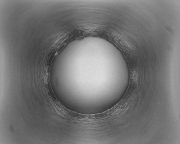 X0000116490868200912090945