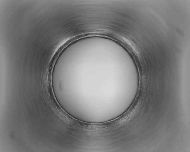 X0000116490875200912090945
