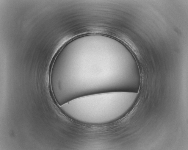 X0000116490891200912090945
