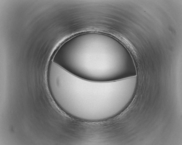 X0000116490896200912090945