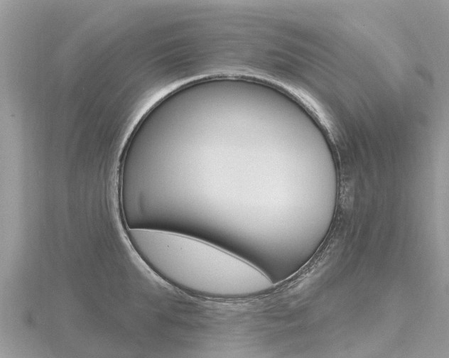 X0000116490903200912090945
