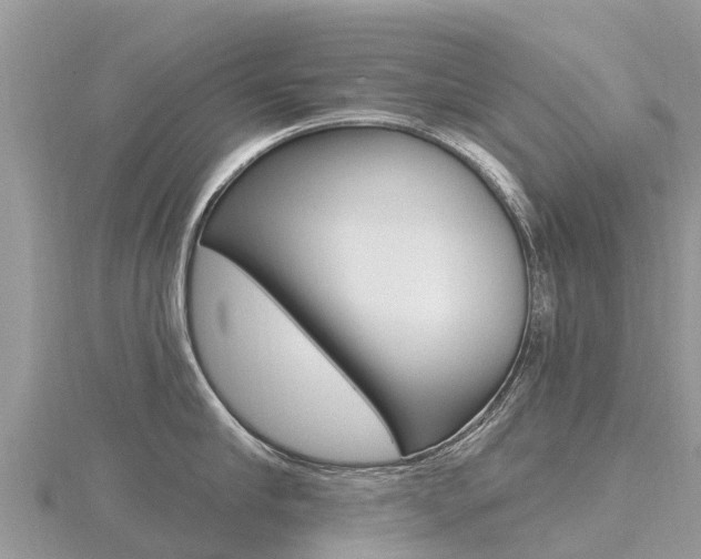 X0000116490910200912090945