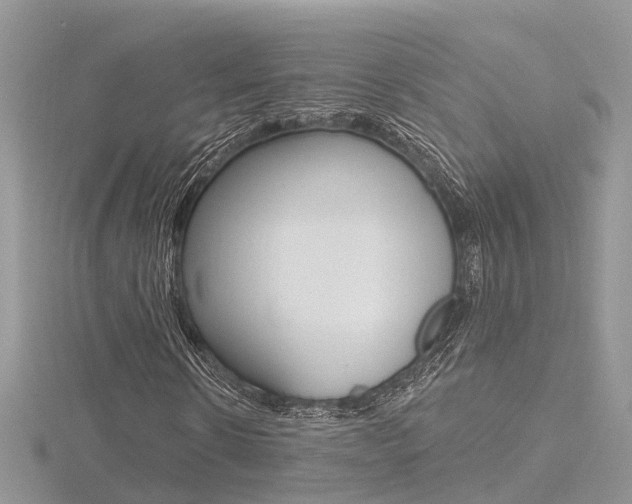 X0000116490914200912090944