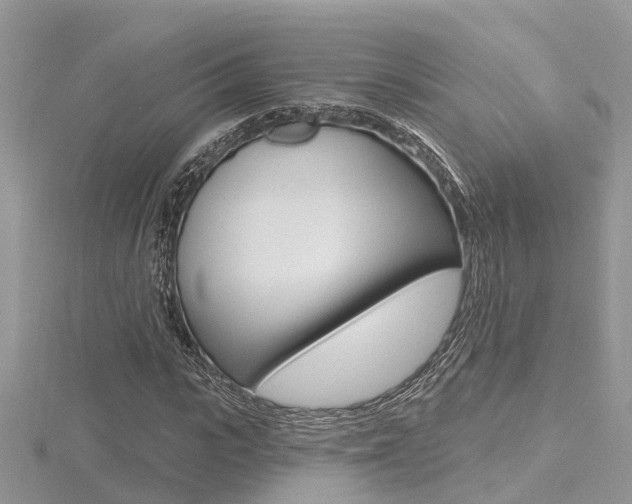 X0000116490919200912090944