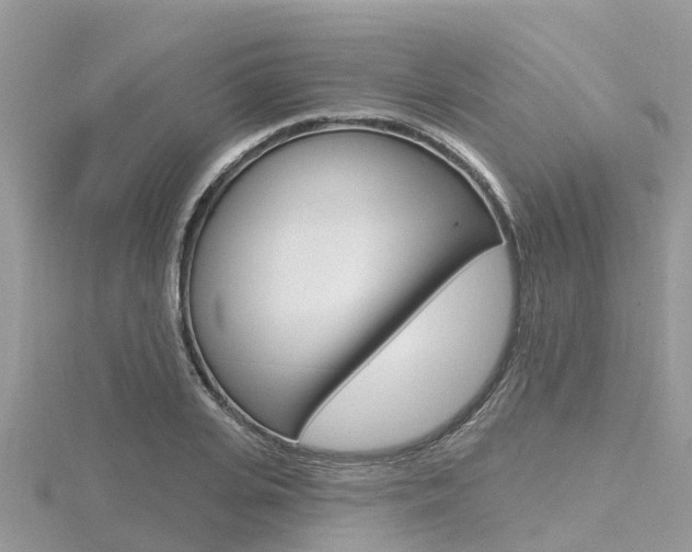 X0000116490935200912090944