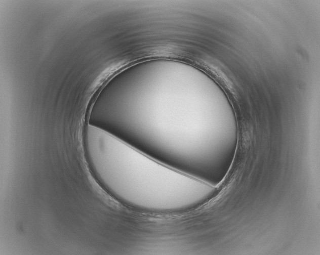 X0000116490938200912090944