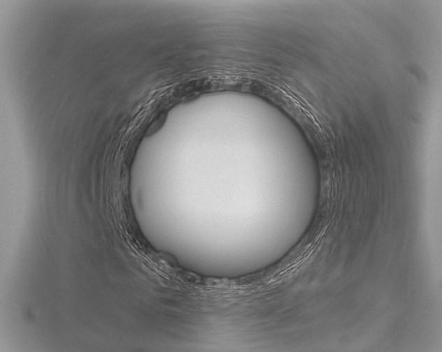 X0000116490961200912090944