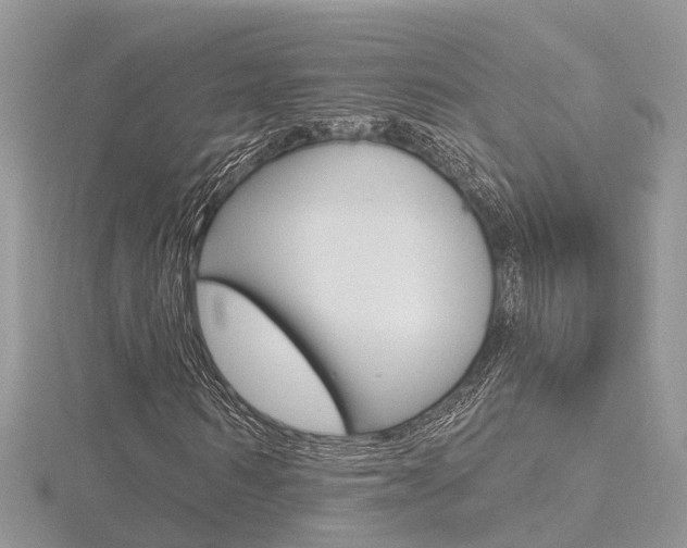 X0000116490962200912090944