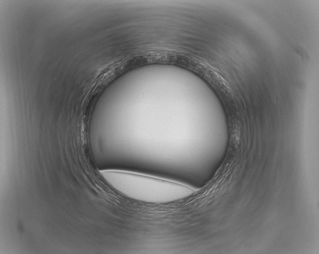 X0000116490964200912090944