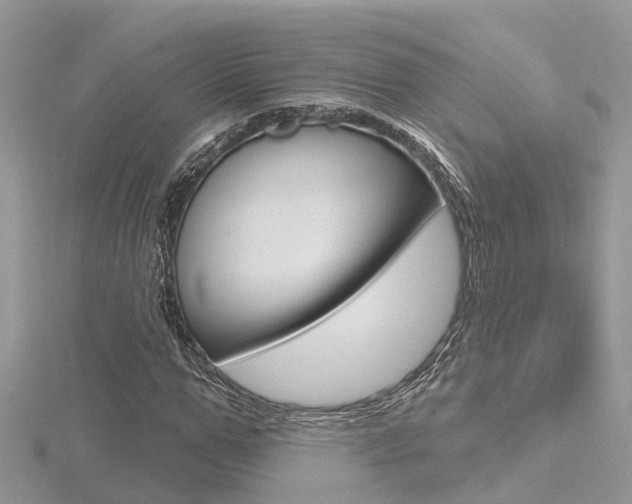 X0000116490967200912090944