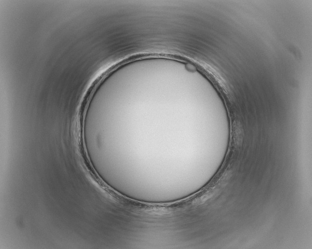 X0000116490982200912090944