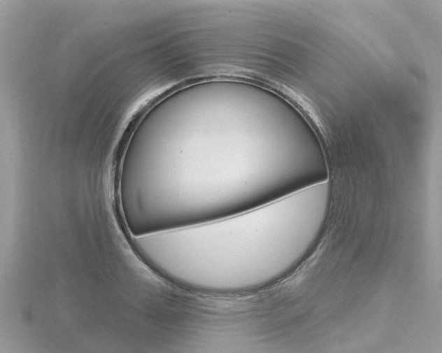 X0000116490987200912090944