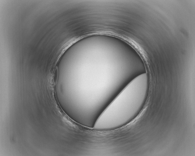 X0000116491001200912090943