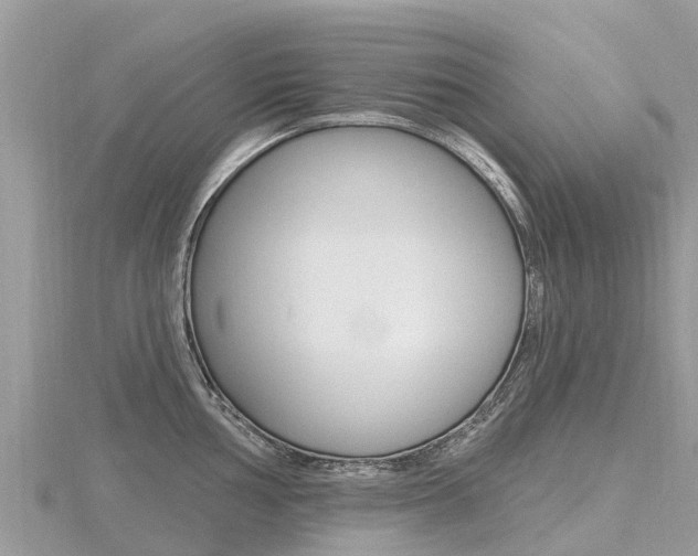 X0000116491002200912090943