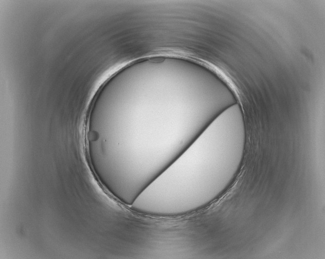 X0000116491003200912090943
