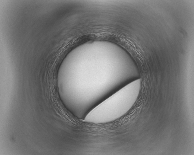 X0000116491009200912090943