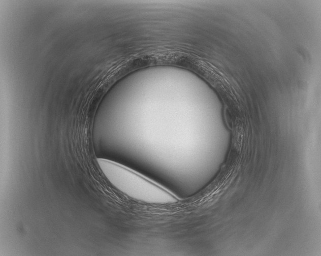 X0000116491010200912090943