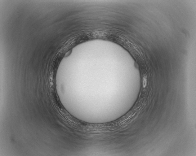 X0000116491011200912090943