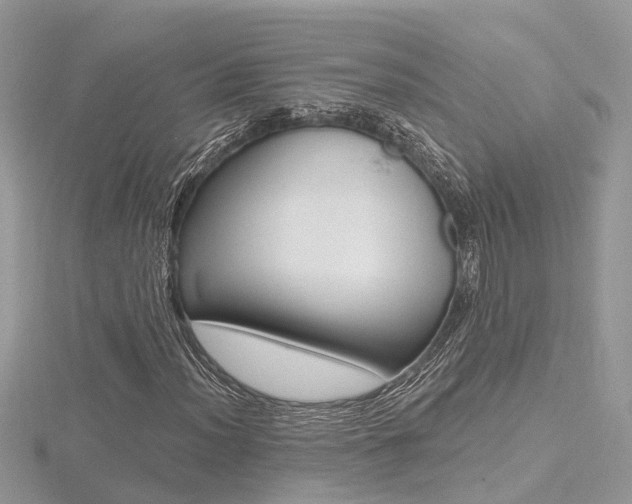 X0000116491012200912090943