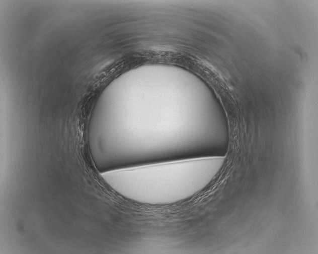 X0000116491013200912090943