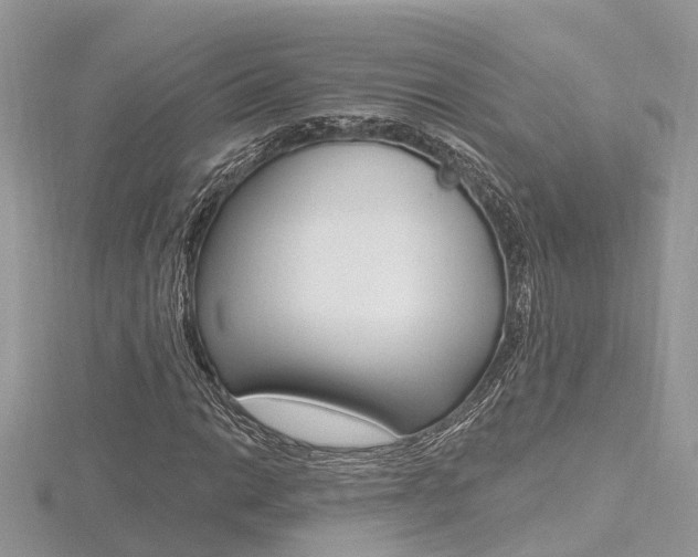 X0000116491014200912090943