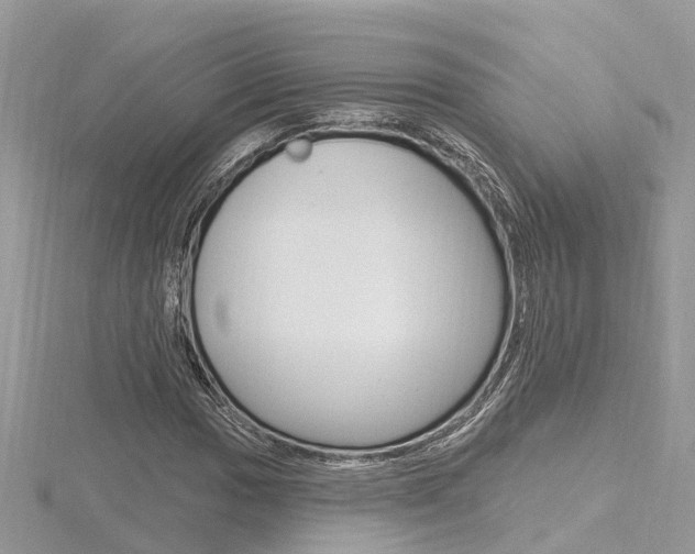 X0000116491017200912090943