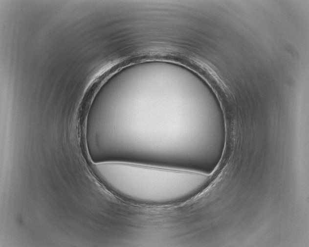 X0000116491018200912090943