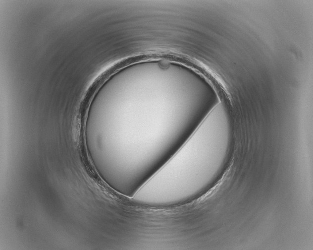 X0000116491021200912090943