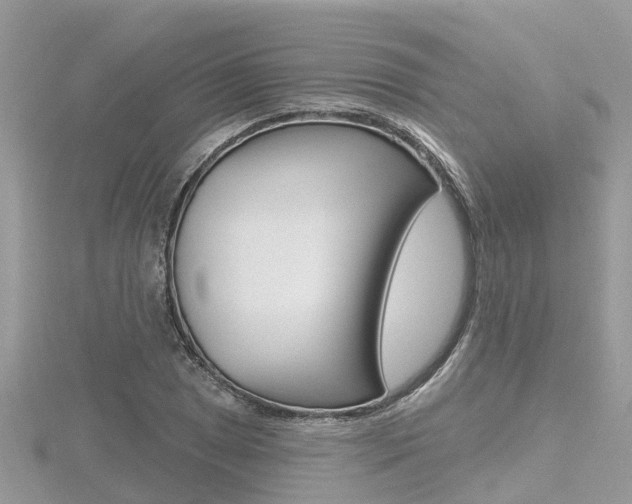 X0000116491025200912090943