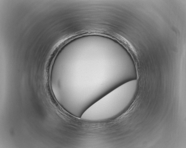 X0000116491027200912090943