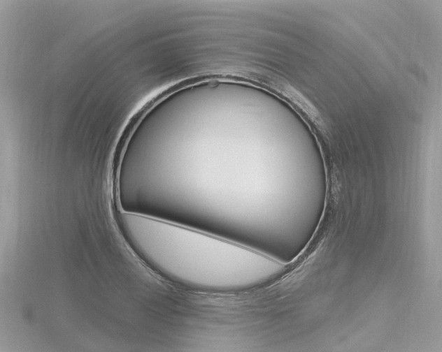 X0000116491028200912090943