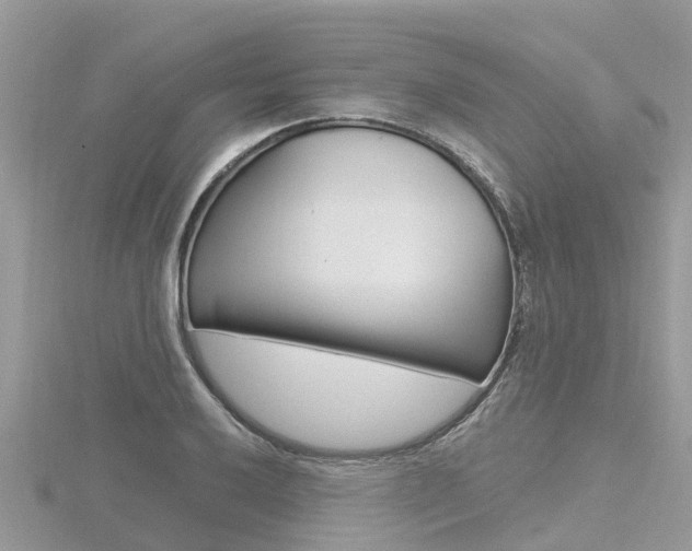 X0000116491032200912090943