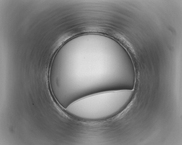 X0000116491033200912090943