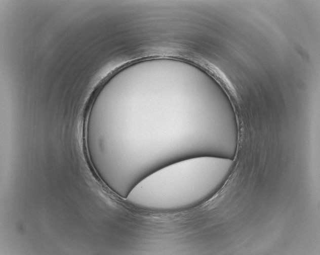 X0000116491035200912090943