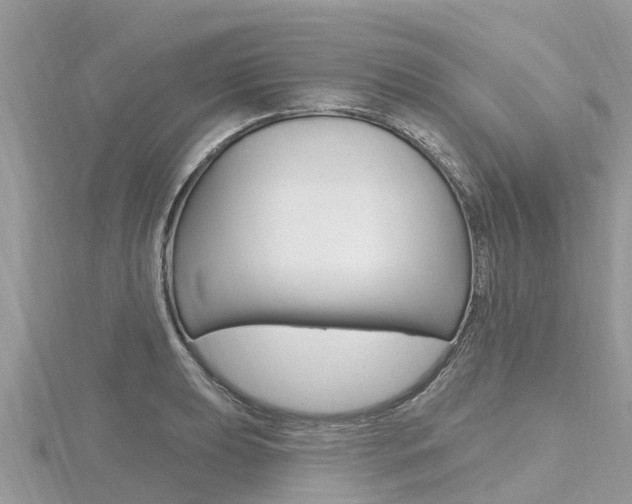 X0000116491039200912090943