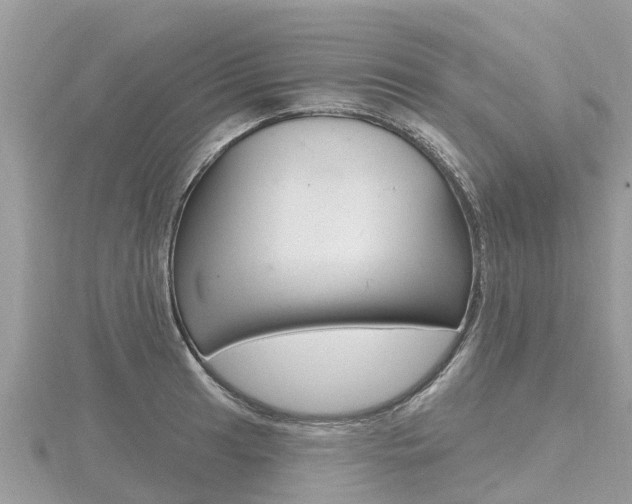 X0000116491041200912090943