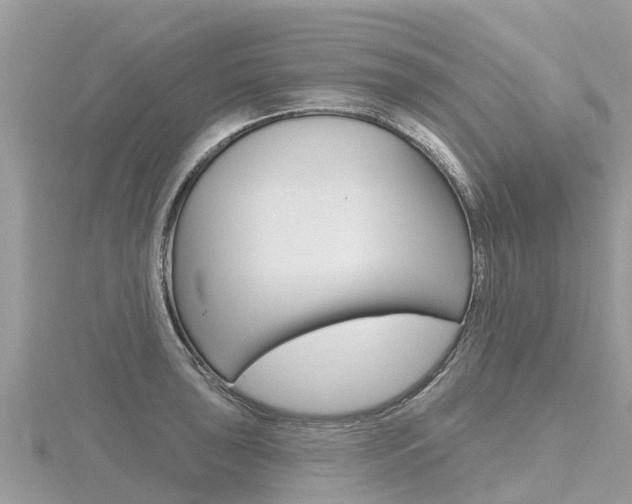 X0000116491043200912090943